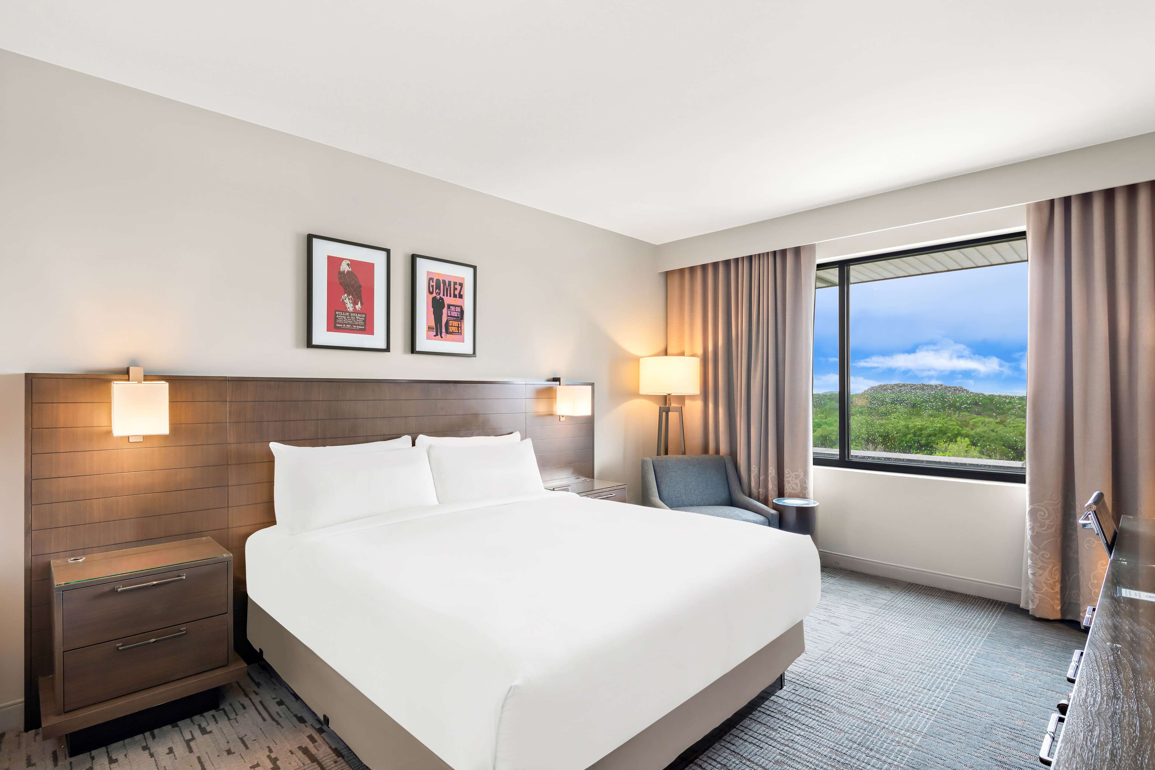 Deluxe - King - Hill Country View image