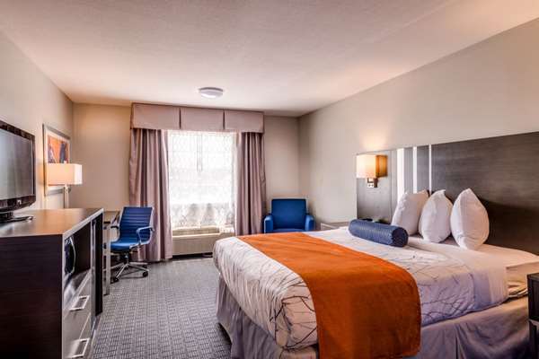 - Guesthouse Inn & Suites Lexington - I-75, Exit 110