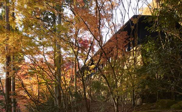 AMAN KYOTO - Photo 42