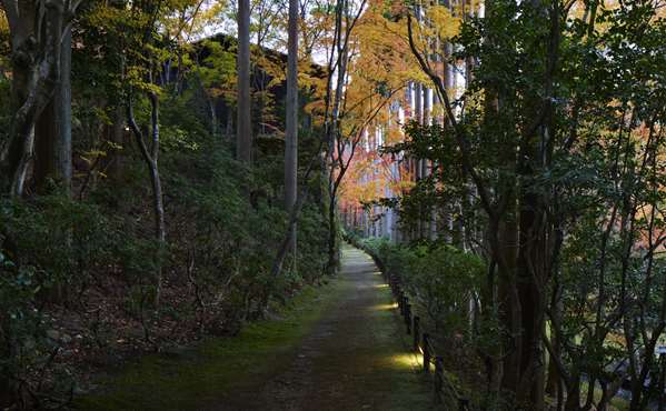 AMAN KYOTO - Photo 43
