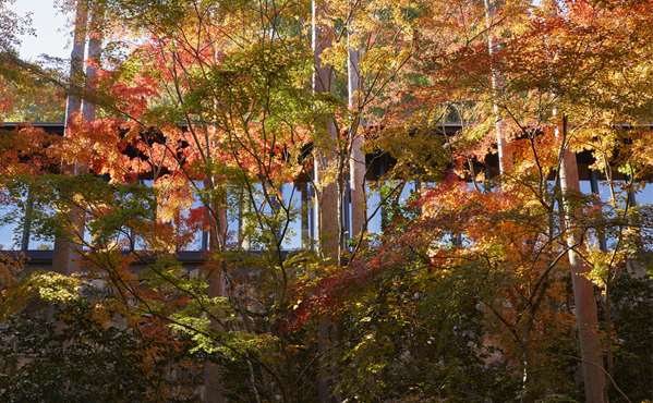AMAN KYOTO - Photo 37