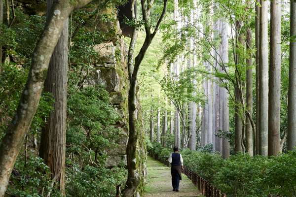 AMAN KYOTO - Photo 12