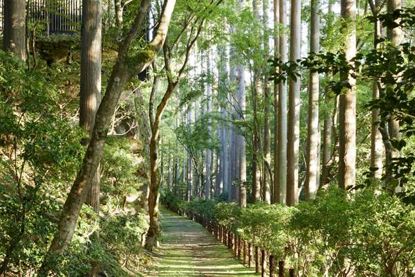 AMAN KYOTO - Photo 9