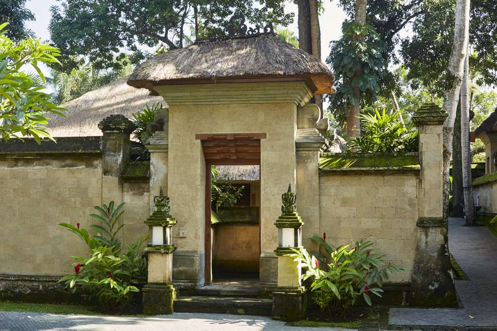 Guest photo