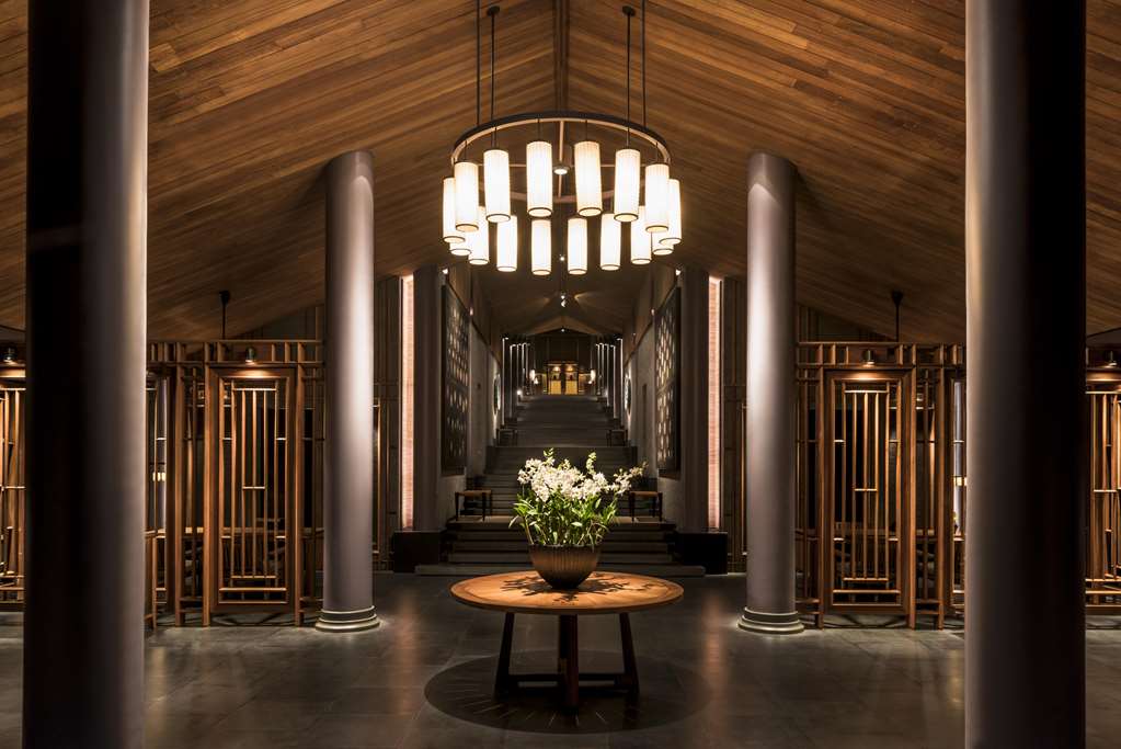 Guest photo
