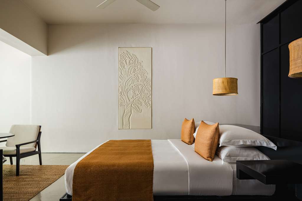 Guest photo