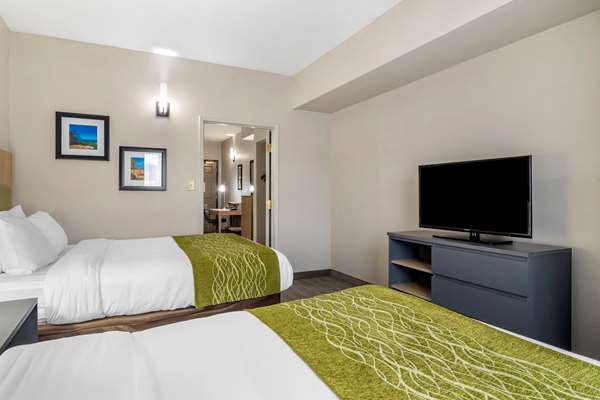  - Comfort Inn & Suites Calhoun - I-75, Exit 312