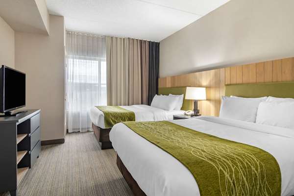  - Comfort Inn & Suites Calhoun - I-75, Exit 312