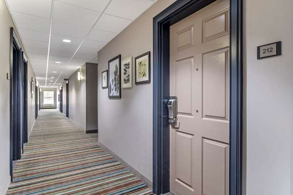  - Comfort Inn & Suites Calhoun - I-75, Exit 312