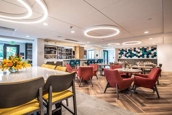 Restaurant - Hilton Garden Inn South Asheville - I-26, Exit 33