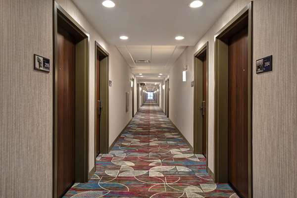  - Hampton Inn Pleasant View - I-24, Exit 24