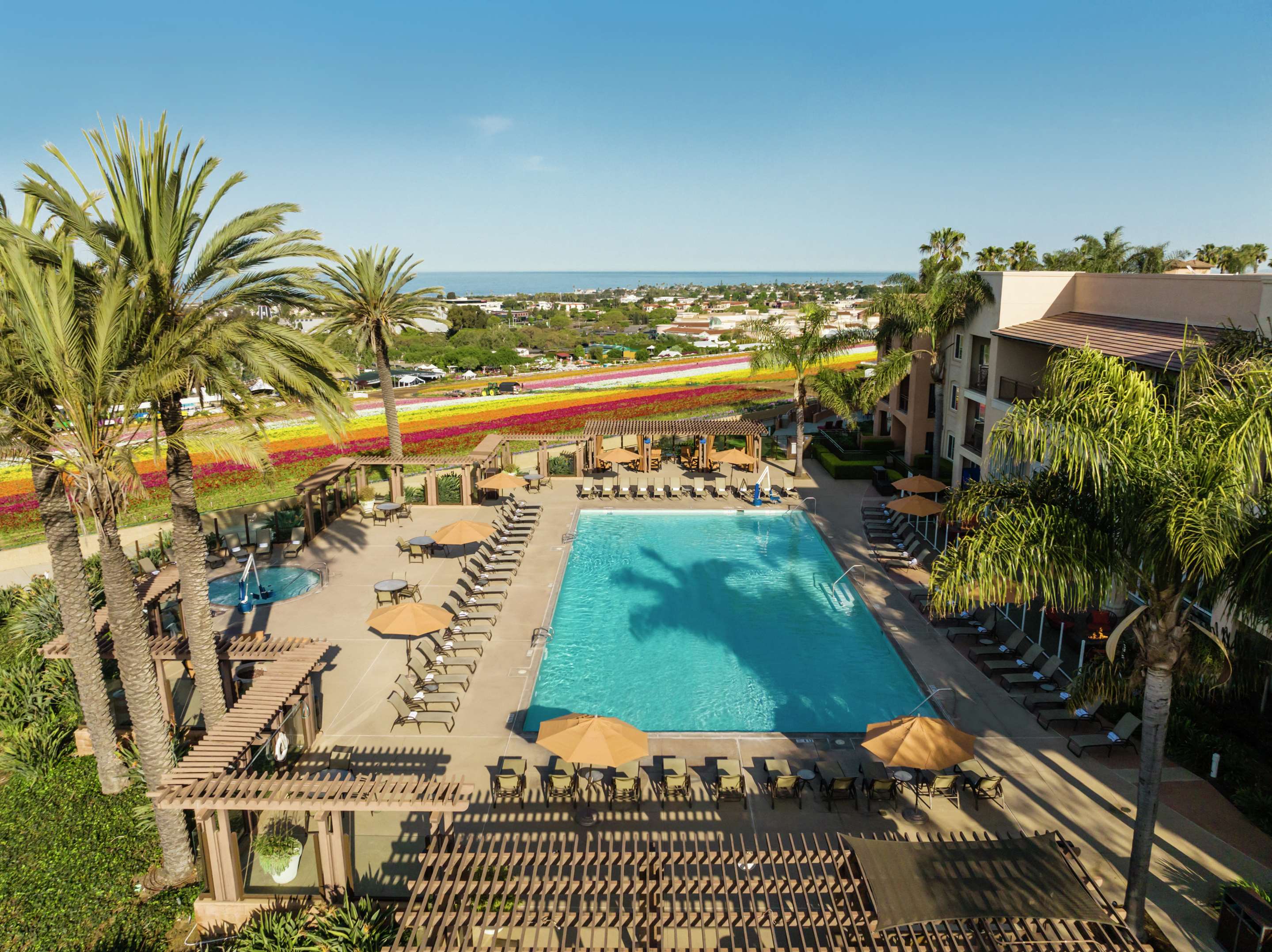 Pool | The Cassara Carlsbad, Tapestry Collection by Hilton