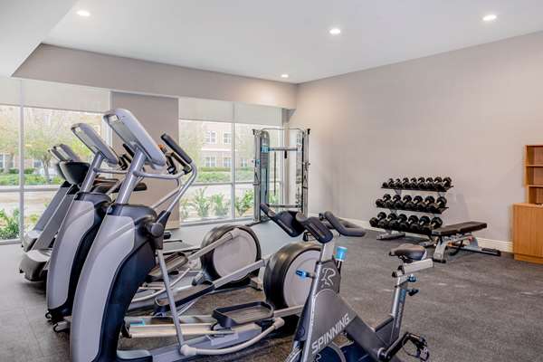 Fitness/ Exercise Room - La Quinta Inn & Suites Katy - I-10, Exit 741