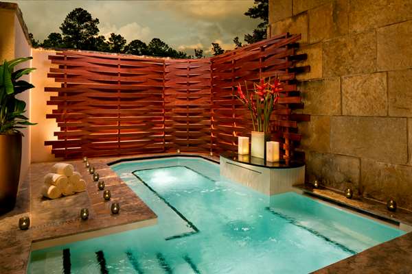 Pool - Umstead Hotel & Spa Cary - I-40, Exit 287