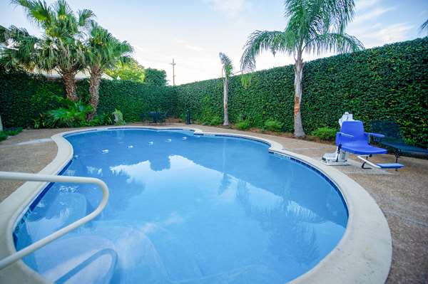 Pool - Frenchmen Orleans at 519 Hotel New Orleans