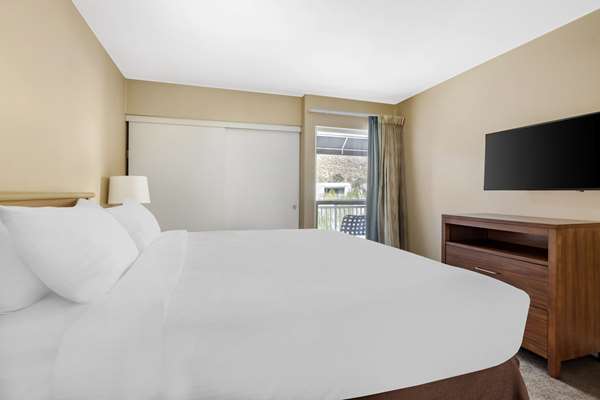 Suite - Palm Canyon Resort & Spa Palm Springs