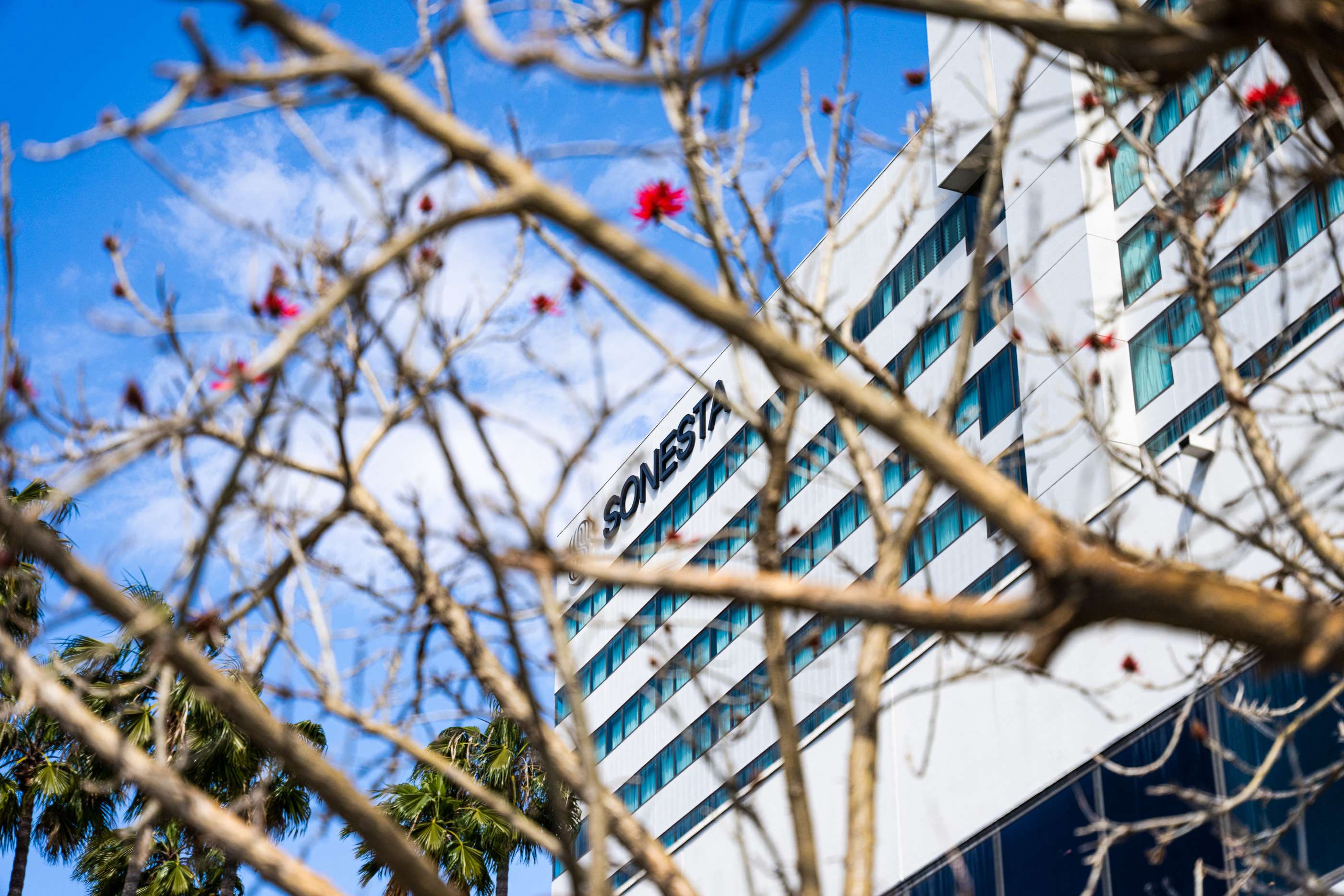 Welcome to Sonesta Irvine | Sonesta Irvine
