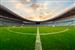 Catch a soccer match!