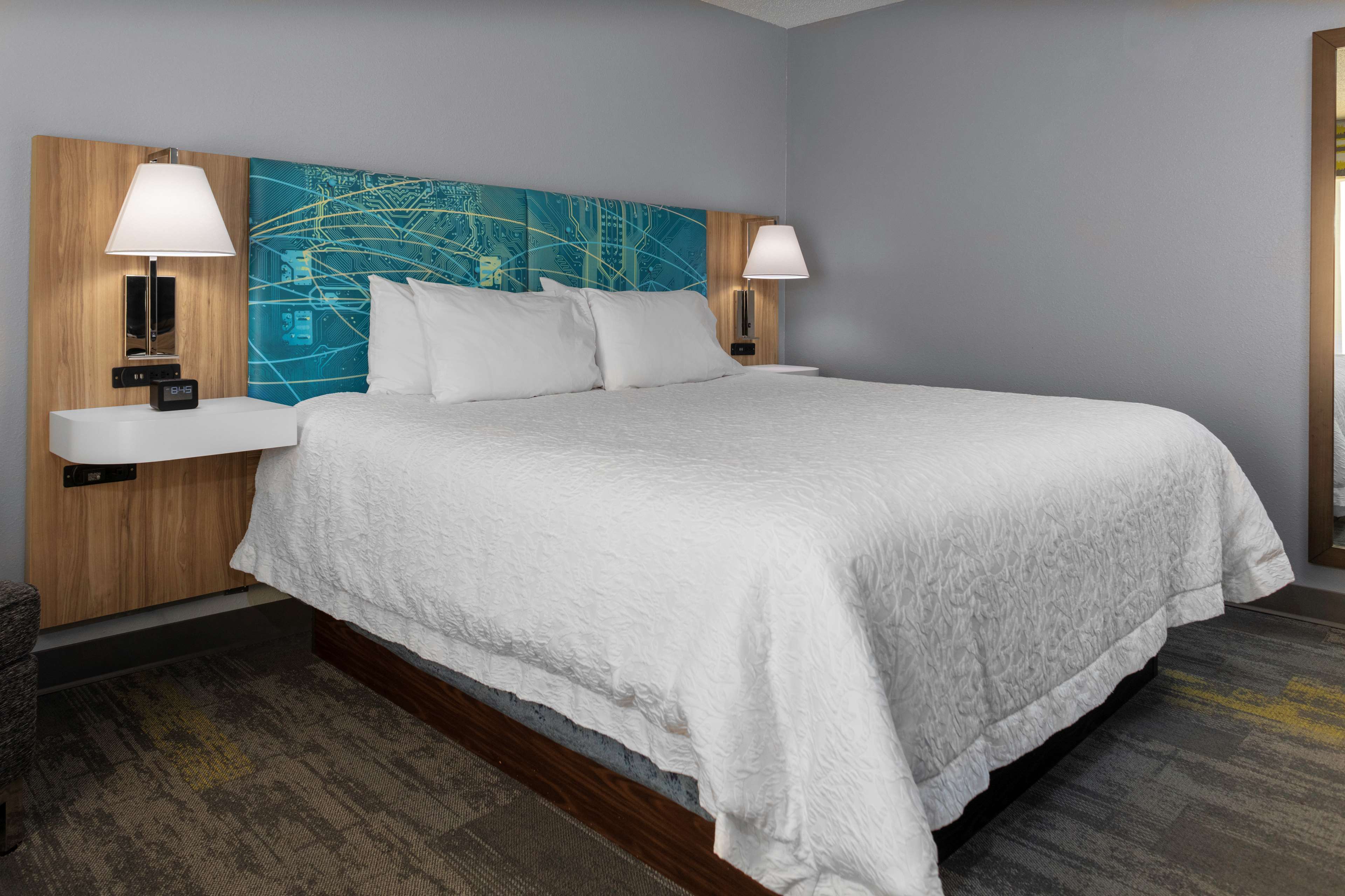 Hampton Inn by Hilton Gretna Room Type - 1 KNG ACCESSIBLE TUB NS