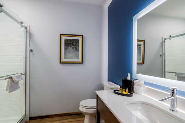  - Best Western Plus St Louis Airport Hotel - I-70, Exit 236