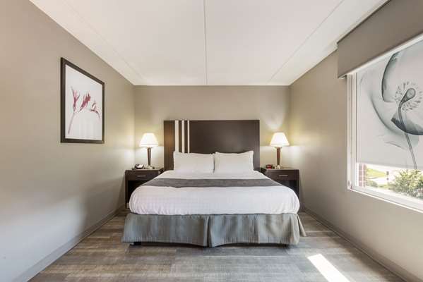 Suite - Clarion Pointe Hotel Airport Greensboro - I-40, Exit 210