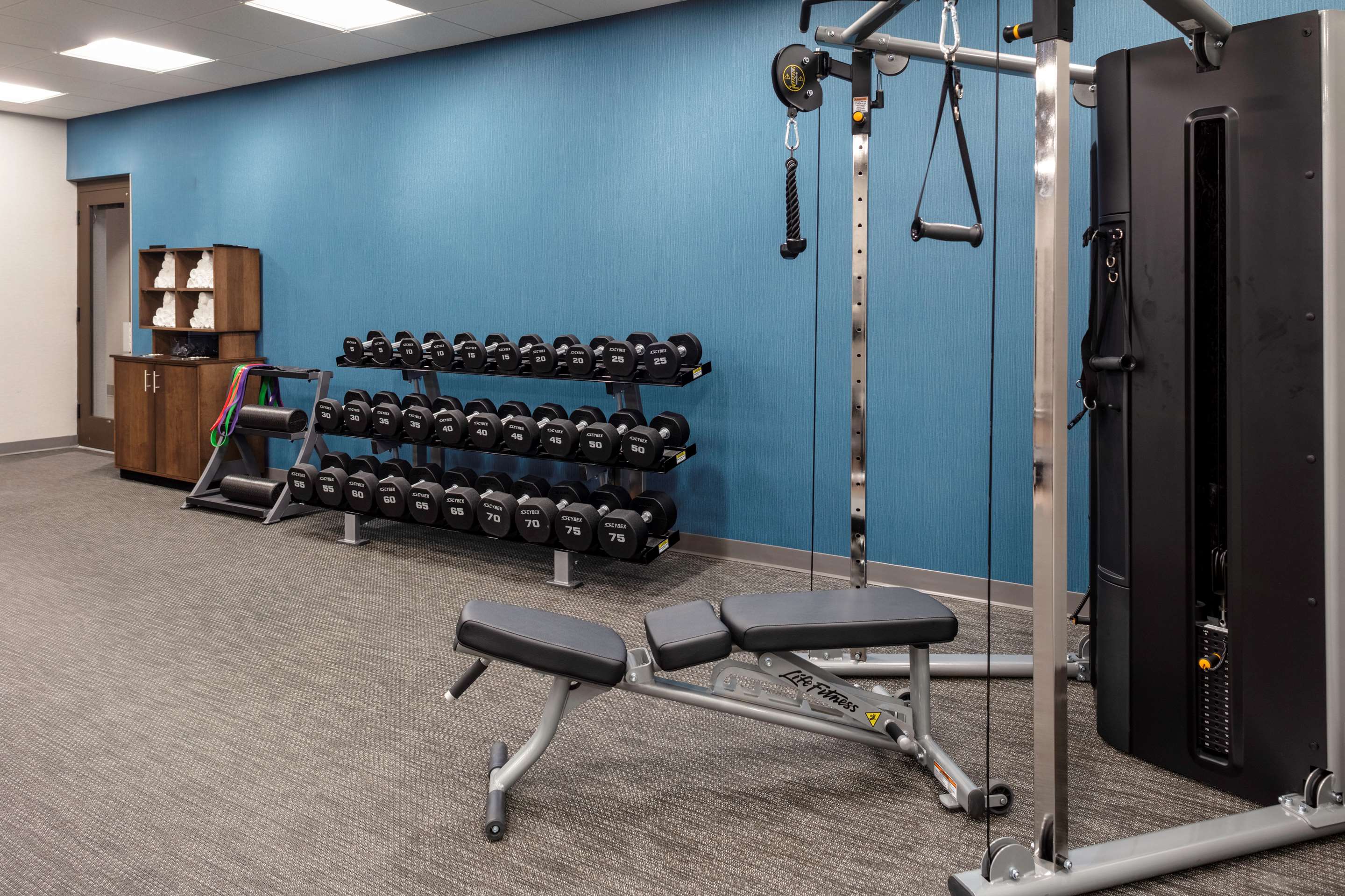 Health club fitness center gym