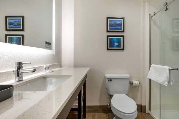  - Comfort Inn & Suites Greer