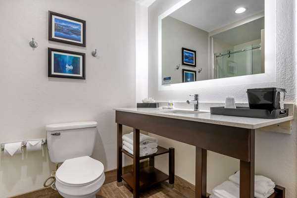  - Comfort Inn & Suites Greer