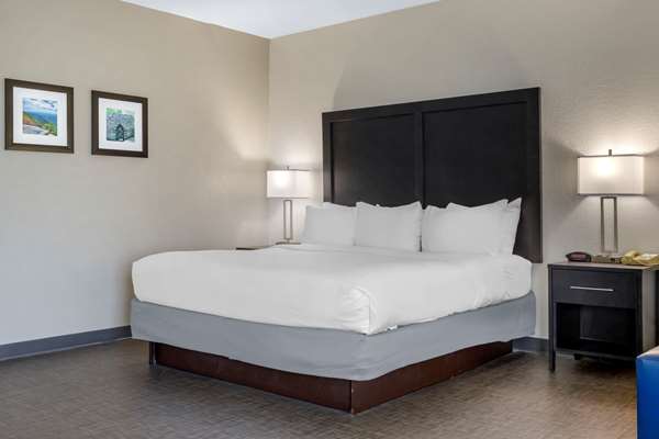 Suite - Comfort Inn & Suites Greer