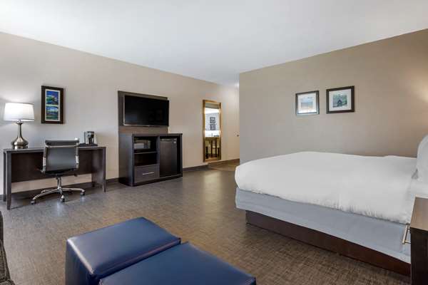Suite - Comfort Inn & Suites Greer