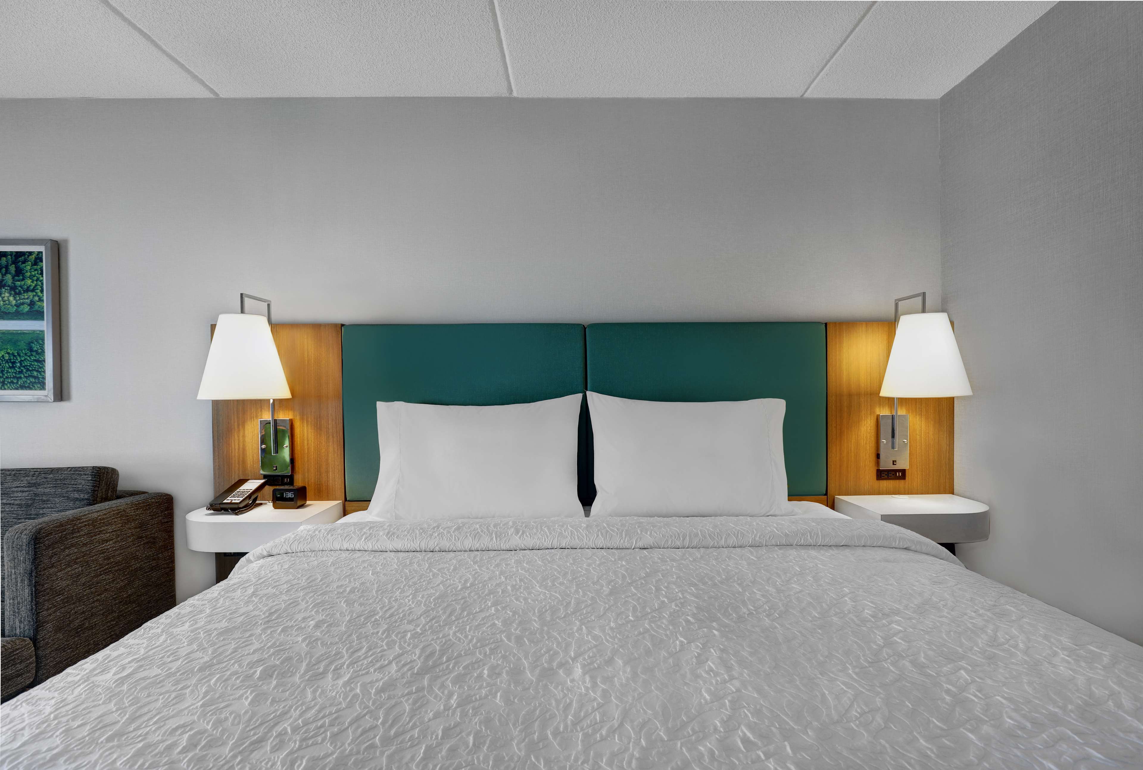 Hampton Inn & Suites Belleville Room Type - 1 KING SFBD FRG NS
