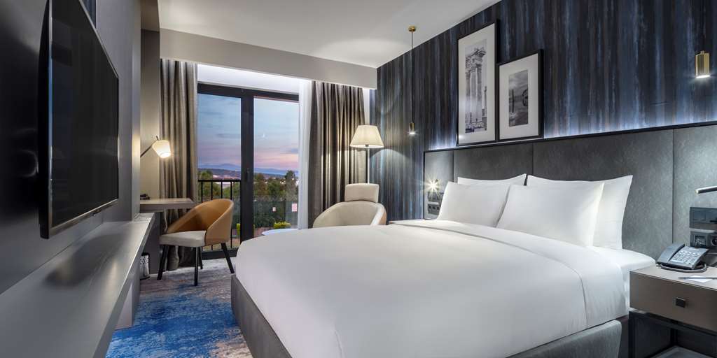 RADISSON HOTEL IZMIR ALIAGA-guestroom-King bed.jpg