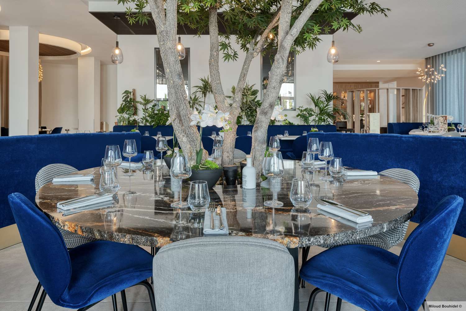 HÔTEL GOLDEN TULIP LYON OUEST TECHLID - Hotel & Spa - Restaurant / Etablissement gastronomique