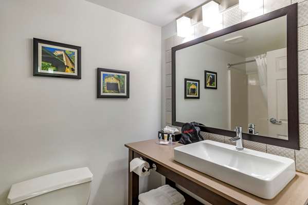 Suite - Comfort Inn & Suites Cartersville