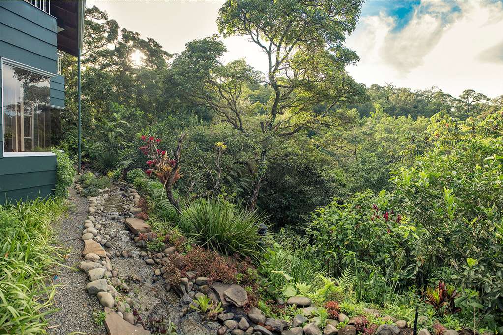 MONTEVERDE LODGE-guestroom-Guest Room,On-Site.jpg