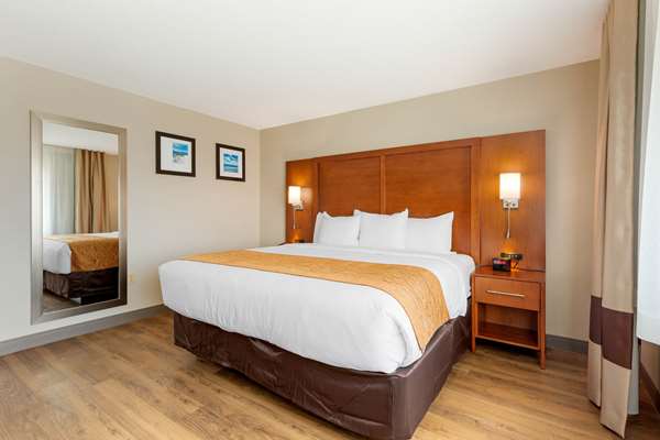 Suite - Comfort Inn & Suites Milford