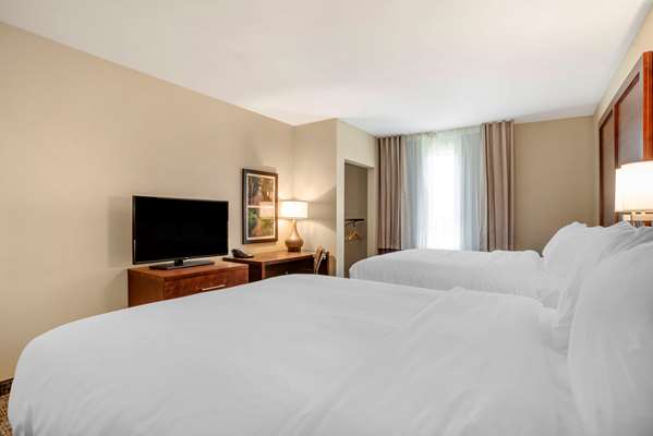 Suite - Comfort Inn & Suites Winchester - I-81, Exit 310