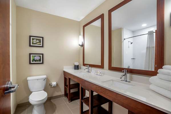 Suite - Comfort Inn & Suites Winchester - I-81, Exit 310