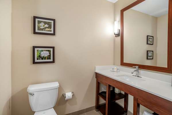 Suite - Comfort Inn & Suites Winchester - I-81, Exit 310