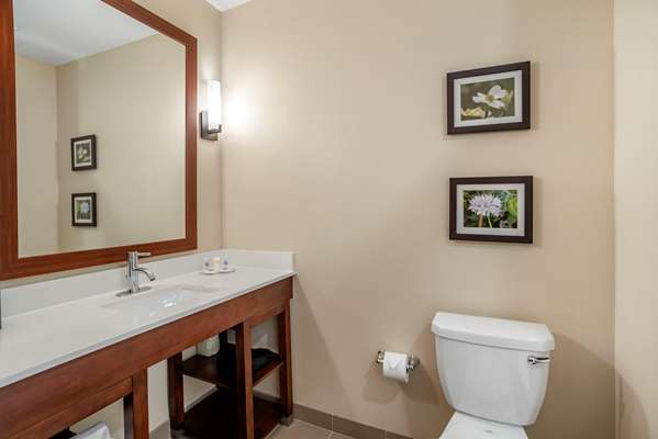  - Comfort Inn & Suites Winchester - I-81, Exit 310