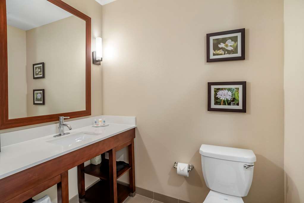 COMFORT INN AND SUITES WINCHESTER-guestroom-Guest Room,Bathroom,On-Site.jpg