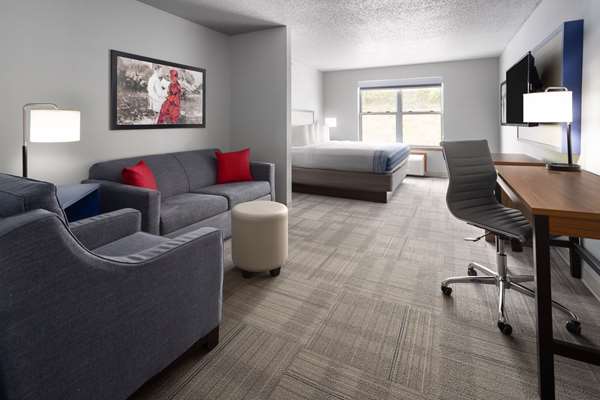 1 King Bed, Studio Suite, Non-Smoking