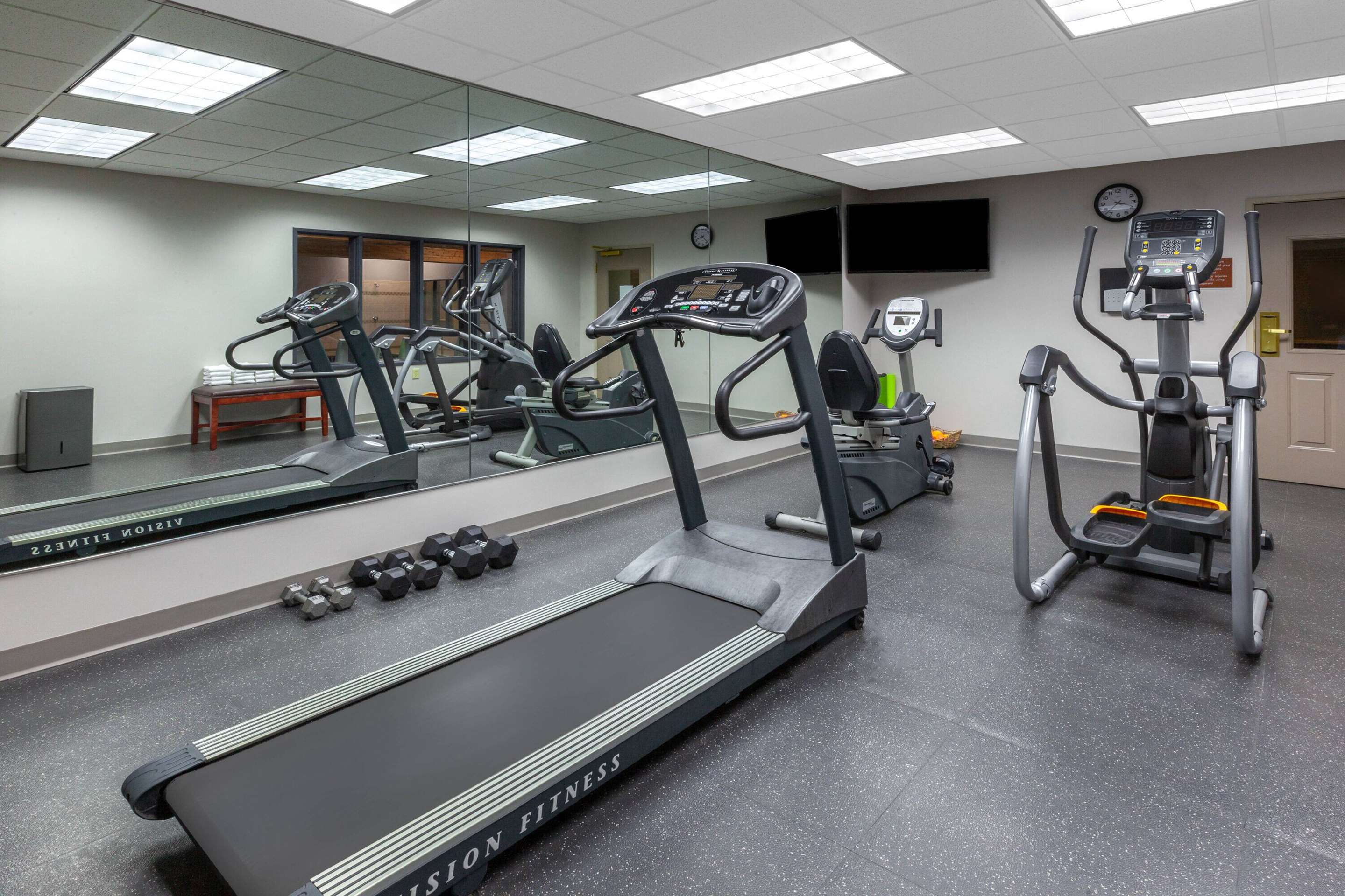 Health club fitness center gym