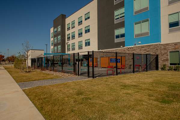 Pool - Tru by Hilton Hotel The Colony