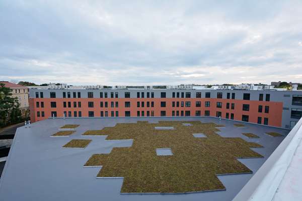 Exterior view - Hampton Inn Salem