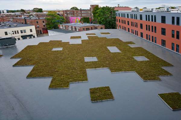 Exterior view - Hampton Inn Salem
