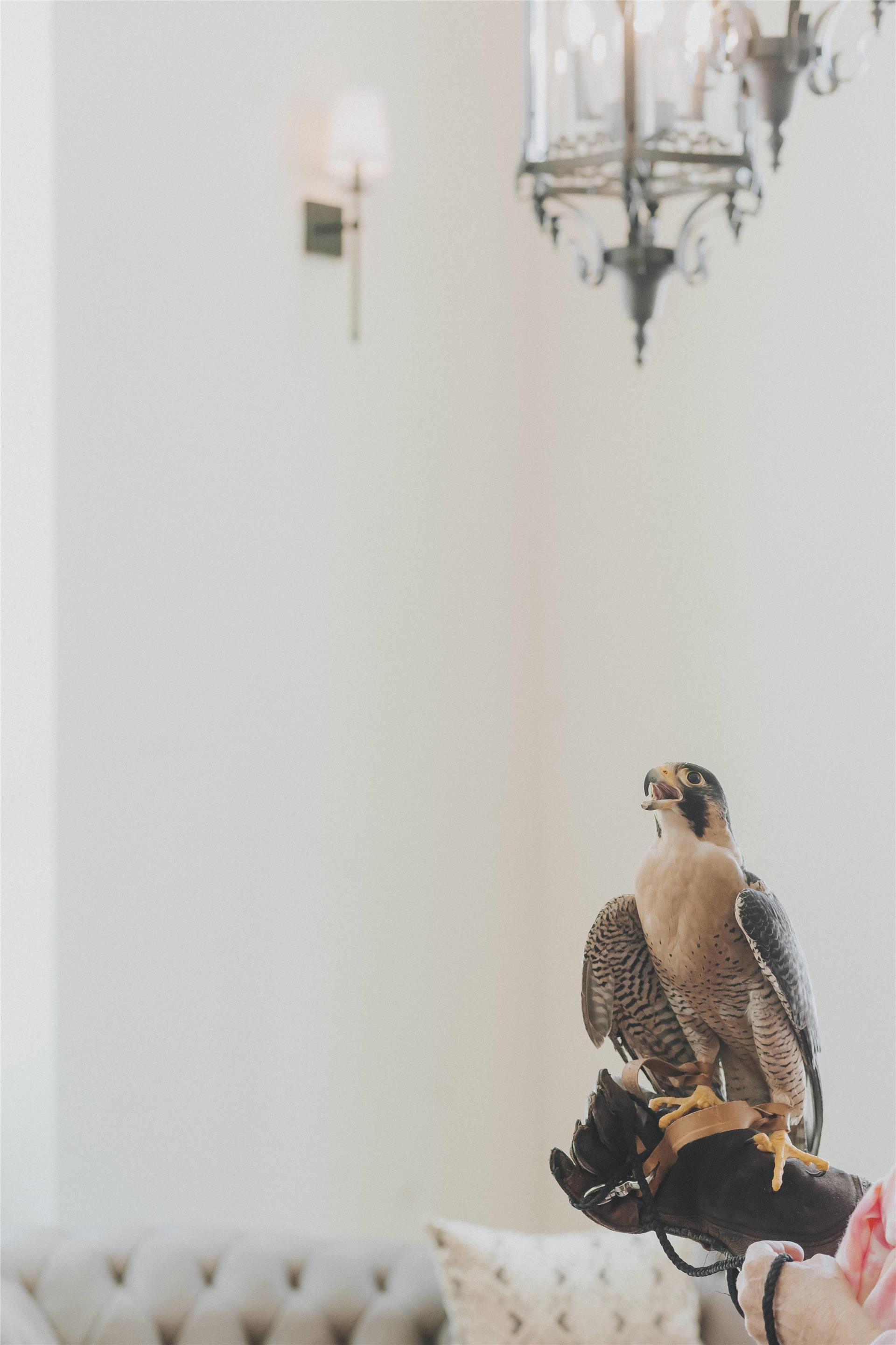 Property amenity | The Peregrine Omaha Downtown, Curio Collection by Hilton