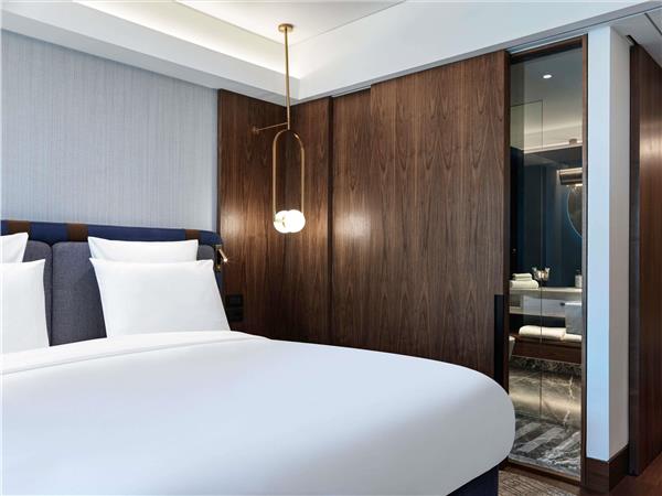 Deluxe room with 1 king size bed
