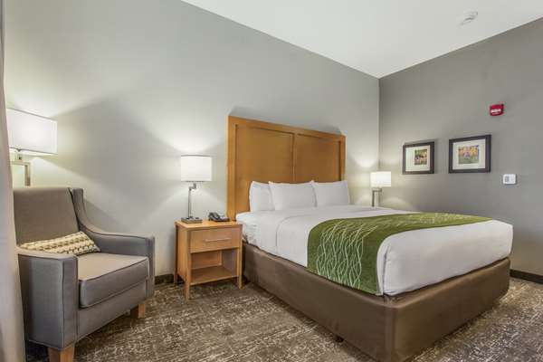  - Comfort Inn Jasper