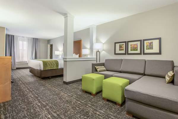 Suite - Comfort Inn Jasper